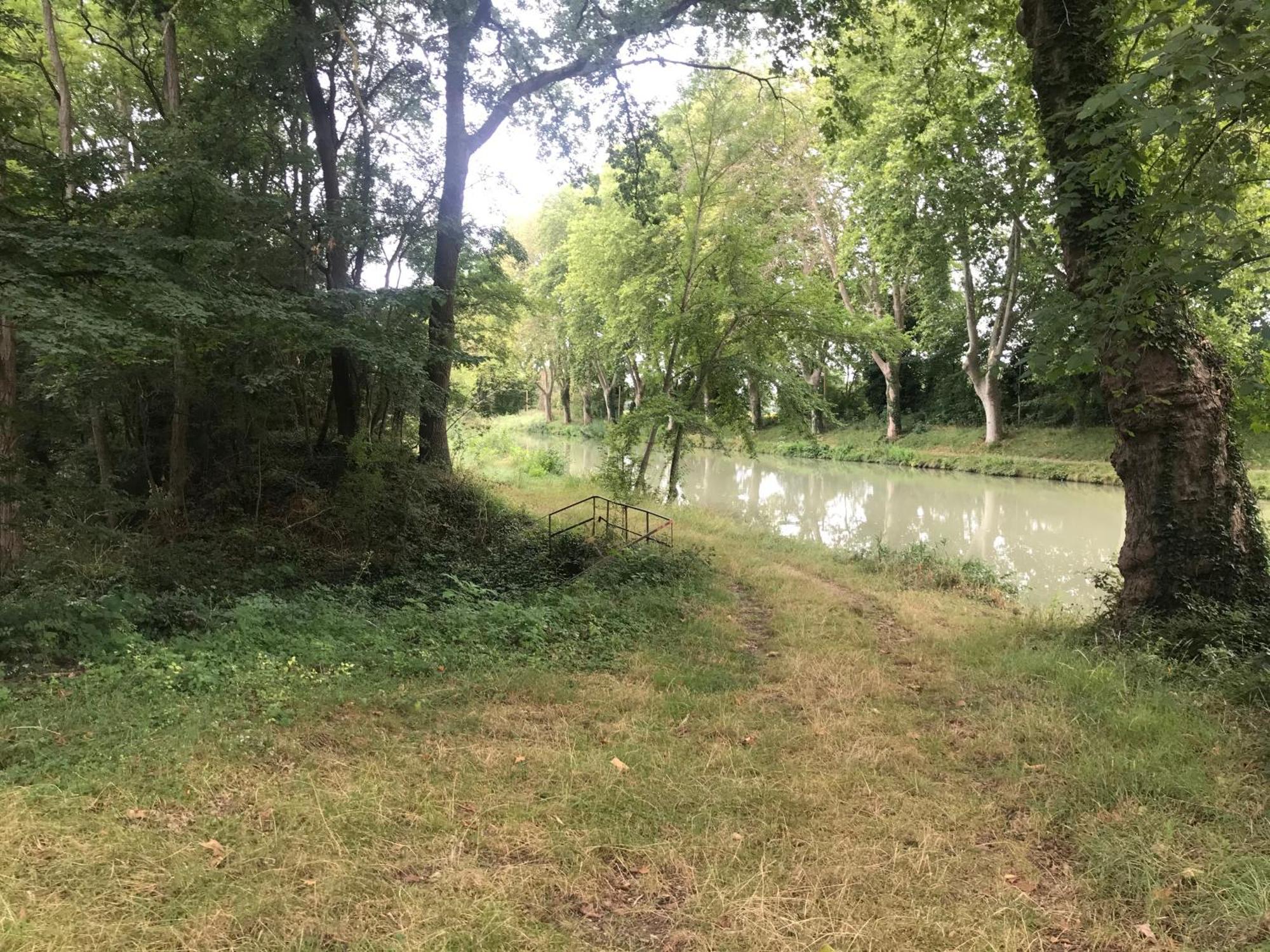 Bus Atypique Au Bord Du Canal Du Midi Et Au Coeur D'Une Foret 2 Chambres Villepinte  Exterior foto