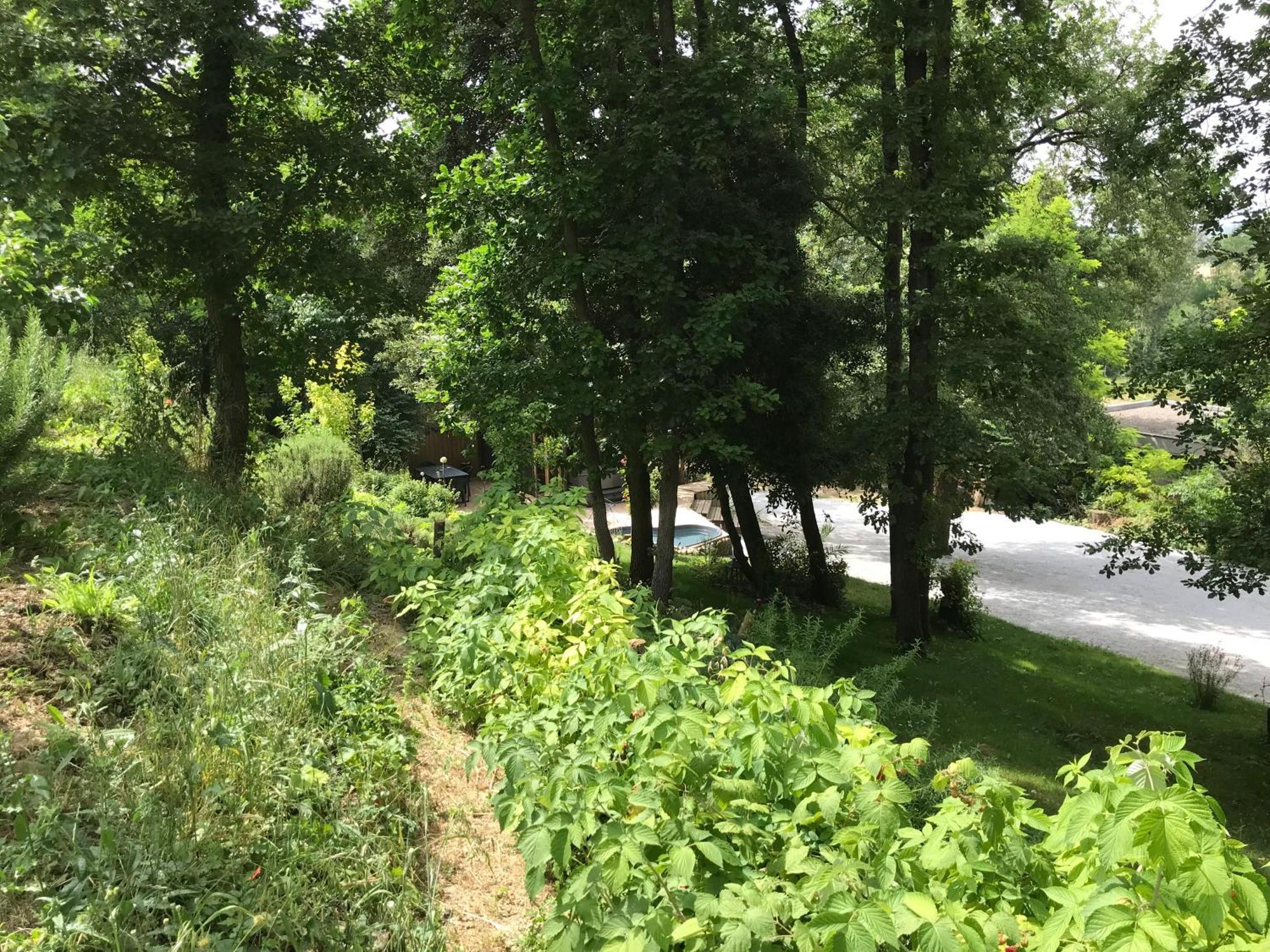 Bus Atypique Au Bord Du Canal Du Midi Et Au Coeur D'Une Foret 2 Chambres Villepinte  Exterior foto