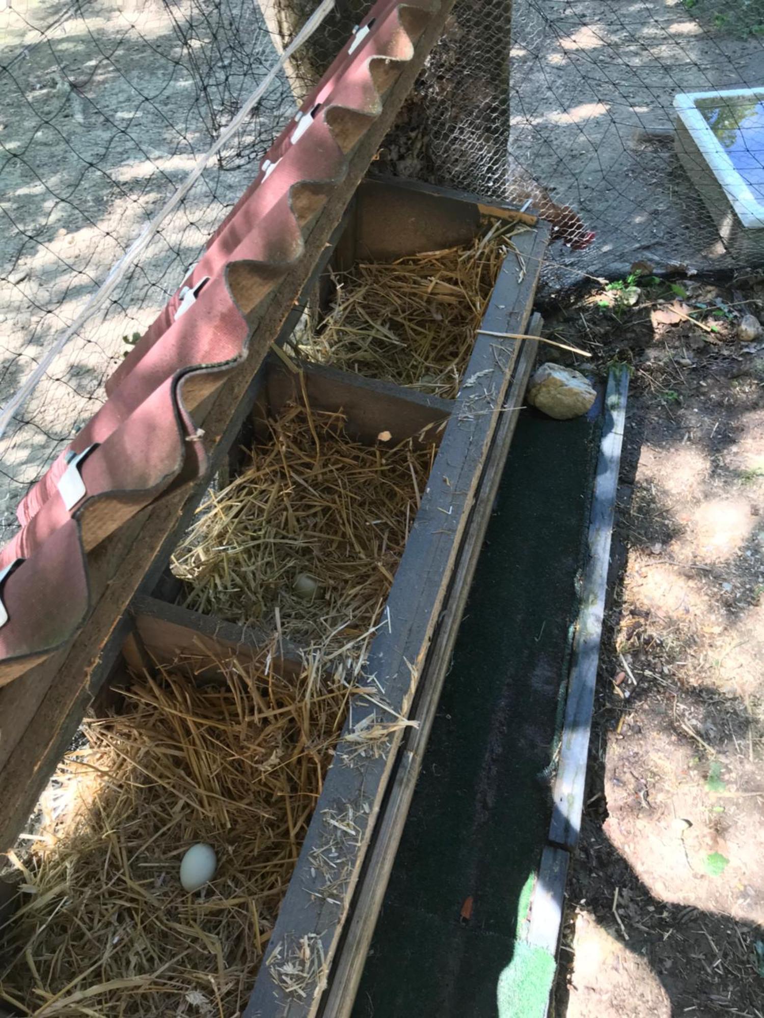 Bus Atypique Au Bord Du Canal Du Midi Et Au Coeur D'Une Foret 2 Chambres Villepinte  Exterior foto